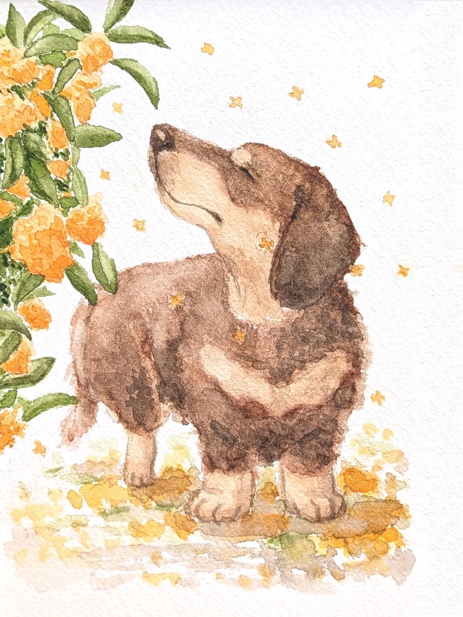 Yamamoto_Bowwow's tweet photo. 『秋の匂いがするね🍂』

#水彩画 #ミニチュアダックスフンド #犬がいる幸せ https://t.co/wXuA9PrBaE