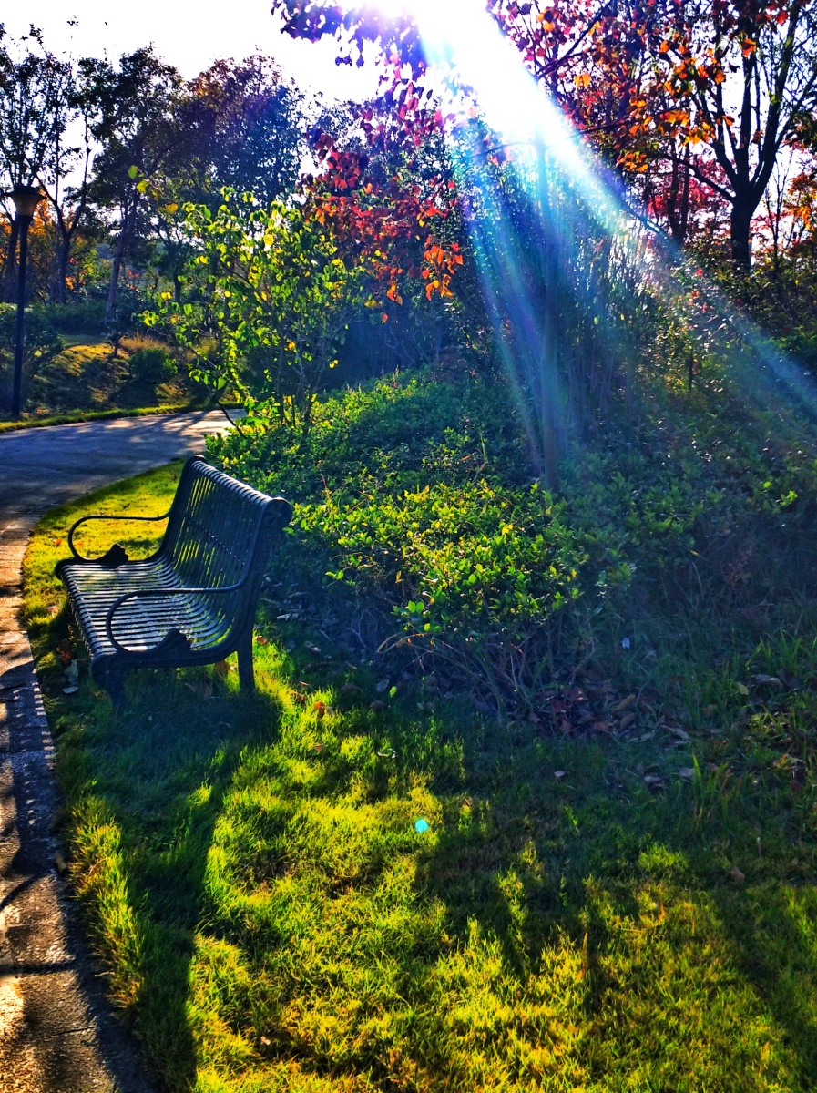 LeahLaehnif's tweet photo. New to photography Start with mastering natural light—golden hour (1hr after sunrise/before sunset) gives warm, soft light that makes every subject pop. No fancy gear needed, just your phone! https://t.co/zhCFylGOFc