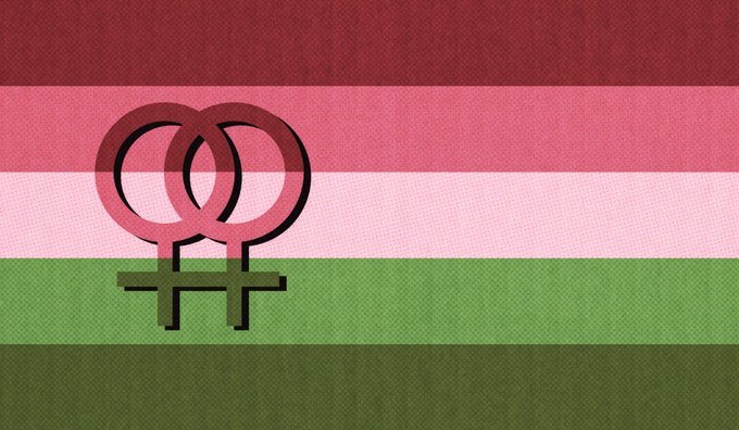 Tailsfan_EWfan2's tweet photo. Guys I found out smth crazy about the TERF flag

Look https://t.co/hmfbRNgo9o