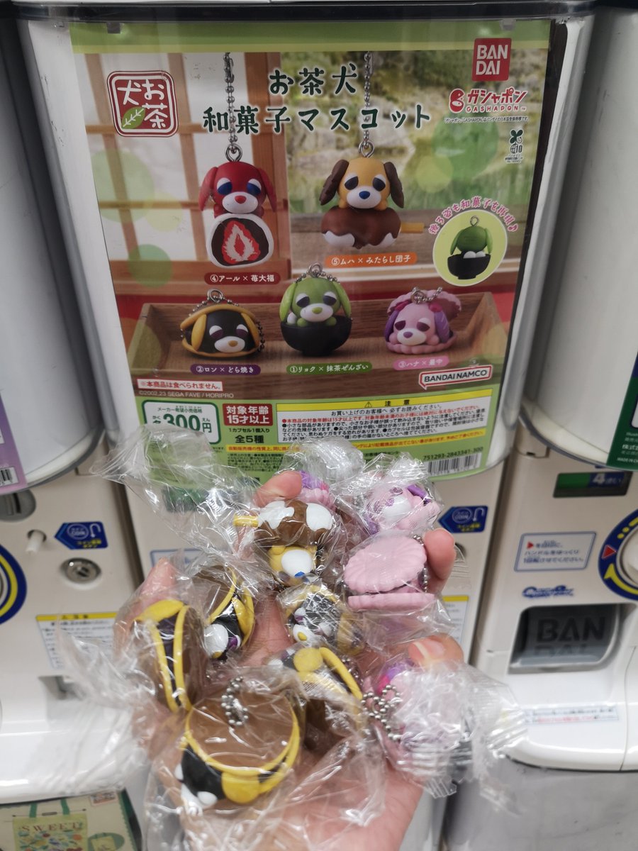 GC_shc's tweet photo. お茶犬 和菓子マスコット 交換

譲)ロン×3、ハナ×2

求)リョク2、アール2、ムハ1

出先のため、ID付の個別画像は後程

偏りが酷かったため、まとめてだと助かります

都内手渡しか郵送 https://t.co/qrSwhi1M3D