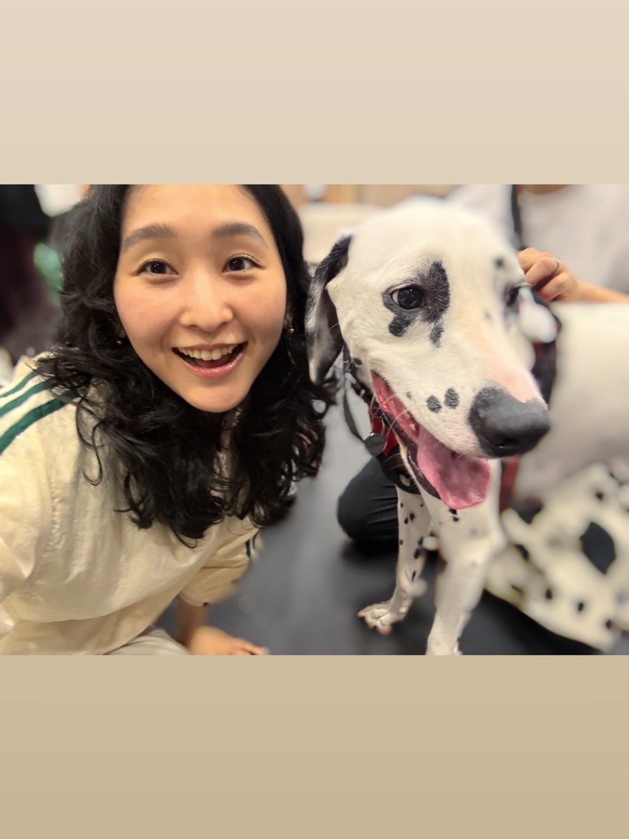 506_rere's tweet photo. #101ダルメシアンズ
昨日のお稽古場に、Dalmatian cafe 101 さんから、ザダルくんが遊びに来てくれました🤍🖤

ずーっとしっぽブンブンしてくれてて、
わらわら集まる私たちにお顔向けてくれて、とっても優しくて可愛かったです…🥹

今度は会いに行くよーー！！🐾
https://t.co/QIv5UjlWYQ https://t.co/Mjs8YWv9kq