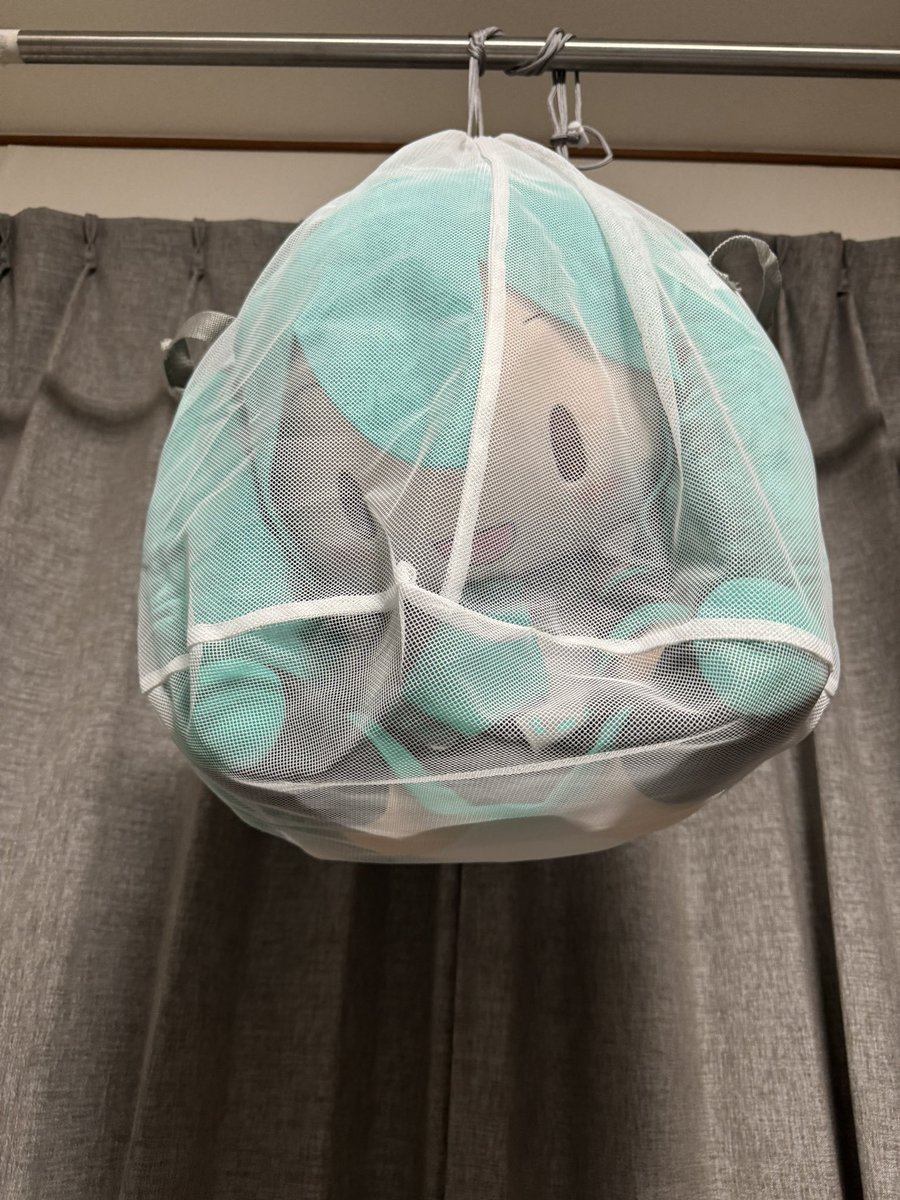 foreigner_mk2's tweet photo. ぶら下がるのハマったの？ https://t.co/BC5B4AlTqC