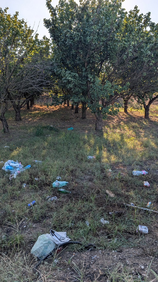 FrankAspide's tweet photo. Via Cupa: la "Terra di Nessuno" tra Teverola e Casaluce. Asfalto tagliato a metà, buio pesto e discarica a cielo aperto. I due Comuni scaricano le colpe, i cittadini rischiano la vita. Leggi l'inchiesta completa qui:

https://t.co/egWdAb3khP

#FrankAspide #Teverola #Casaluce https://t.co/ulcpvfGauj