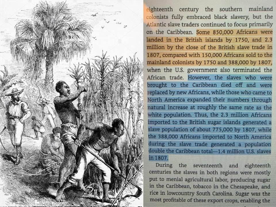 wcchen's tweet photo. By 1807 2.3 million Africans had been landed in the British Caribbean and 388,000 in the mainland colonies (U.S.A.). However, in 1807 the African population of the islands was 775,000 compared to 1.4 million in the U.S.. In #Jamaica and the other islands, Africans were worked to death and replaced by new imports, while Africans in the U.S. expanded their numbers through natural increase. #Caribbean
From A TALE OF TWO PLANTATIONS: SLAVE LIFE AND LABOR IN JAMAICA AND VIRGINIA (2014) by Richard S. Dunn