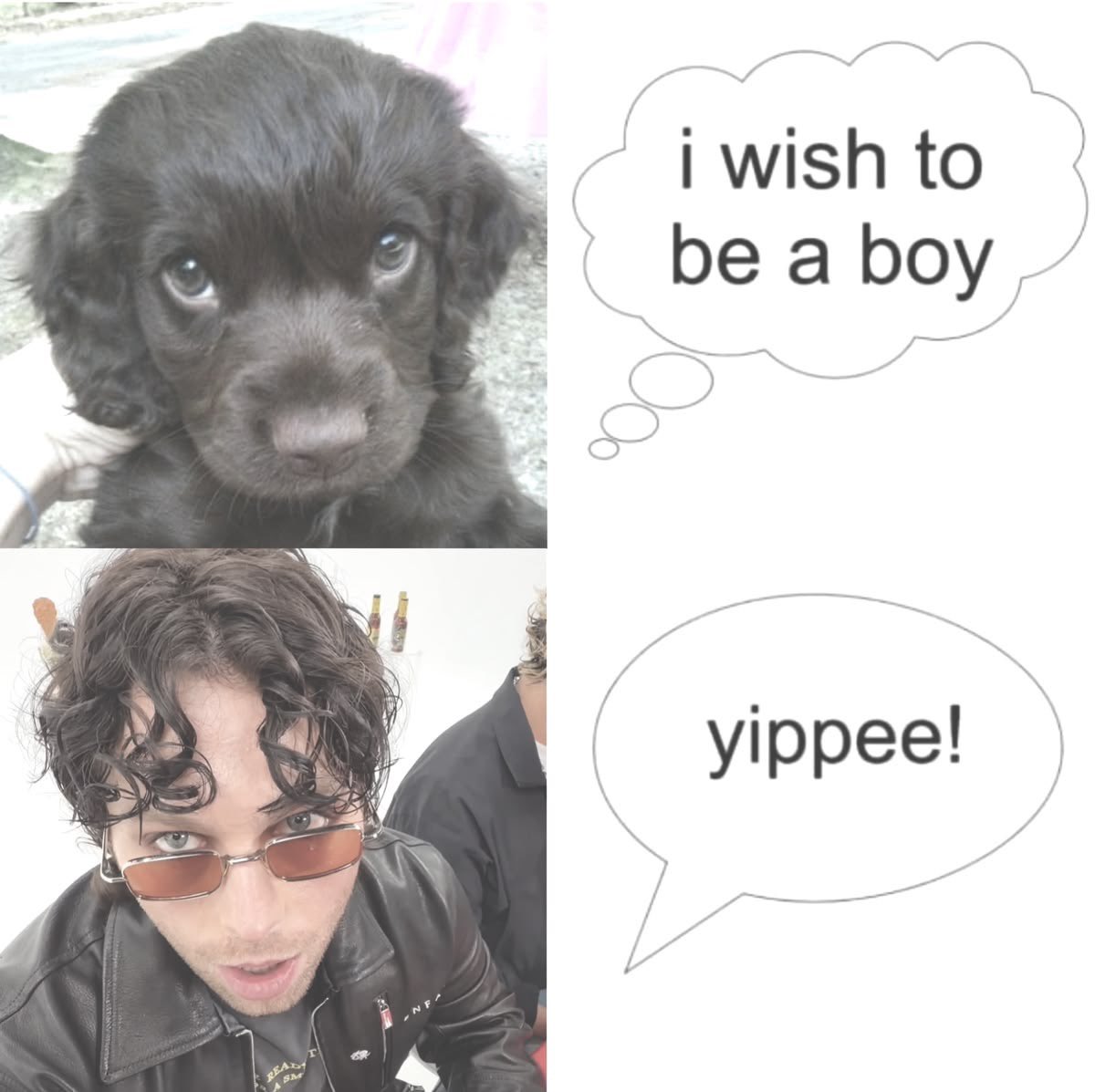 emopuppycliford's tweet photo. https://t.co/bJw89zhq6M