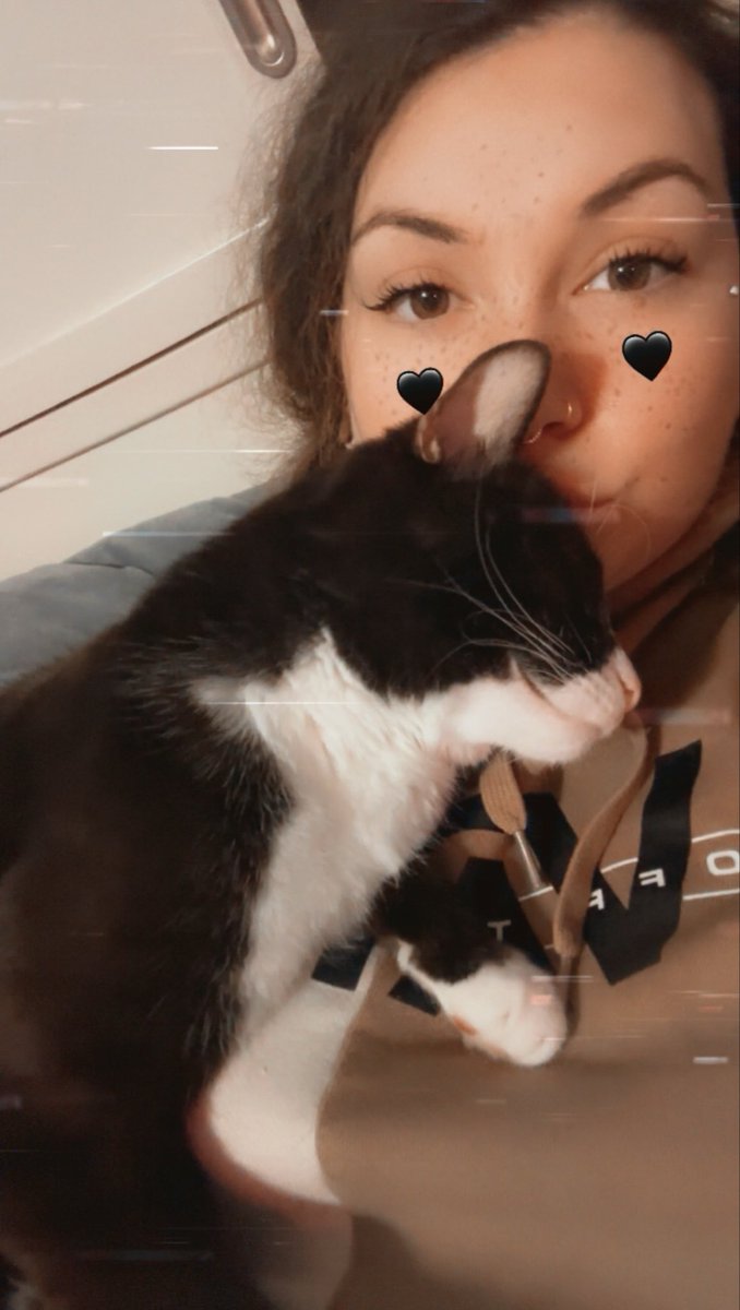 Ryleedoublex's tweet photo. i felt like my son needed to be posted on my page at least once because he’s my whole world- show me ur cats if you have one https://t.co/qI2ci4Subl