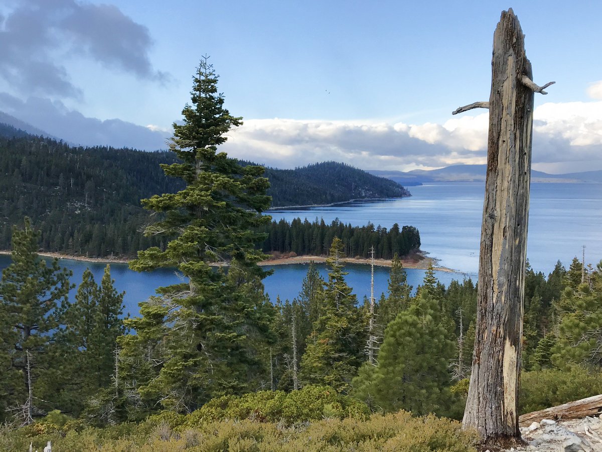 PineConeResort's tweet photo. Eagle Point Campground, one of my favorite spots to bike ride in Sept when the crowds leave! https://t.co/Jbg2yhr9a8