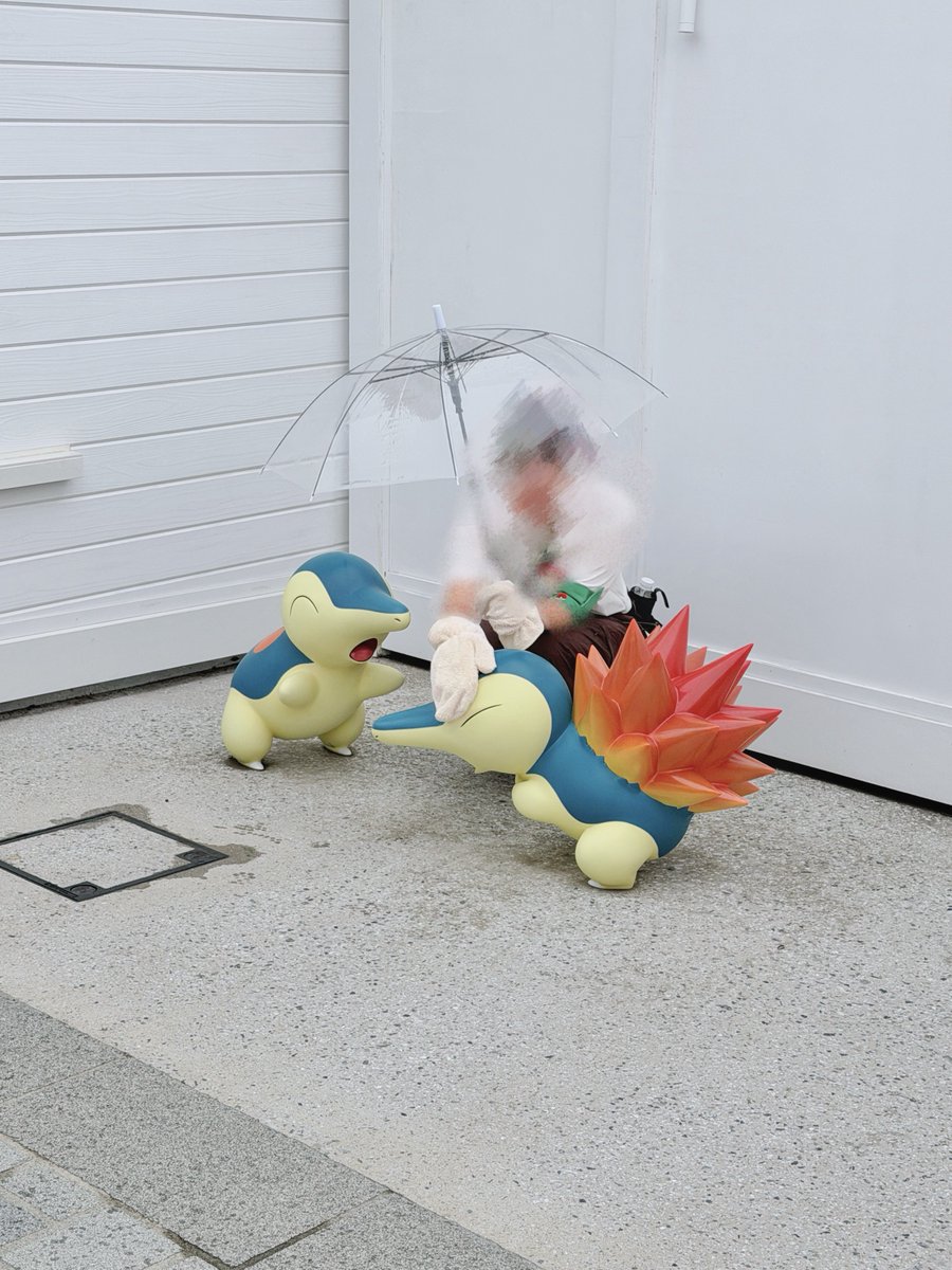 0416ppp's tweet photo. 雨の日はやさ〜しく水滴を取ってもらっているpkmnたちが見れて大変良い❣️良い❣️雨が続くけど気分が上がりました❣️クラブ出現初めて見れました✌️✌️ https://t.co/HJ1ZFN50Sw