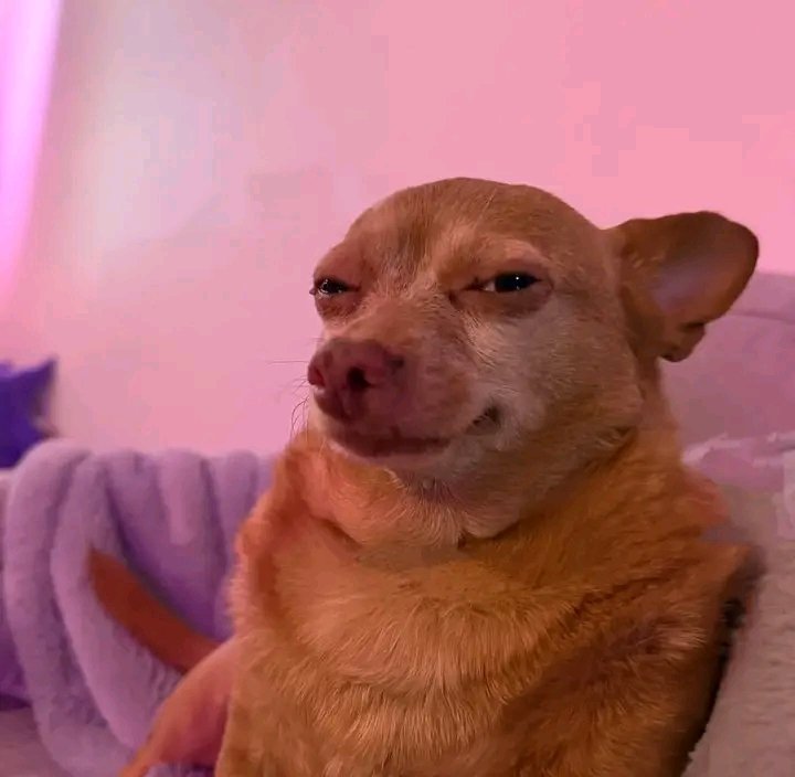 KasiboySA's tweet photo. How women have been looking at men the whole week: https://t.co/YretXrsshO