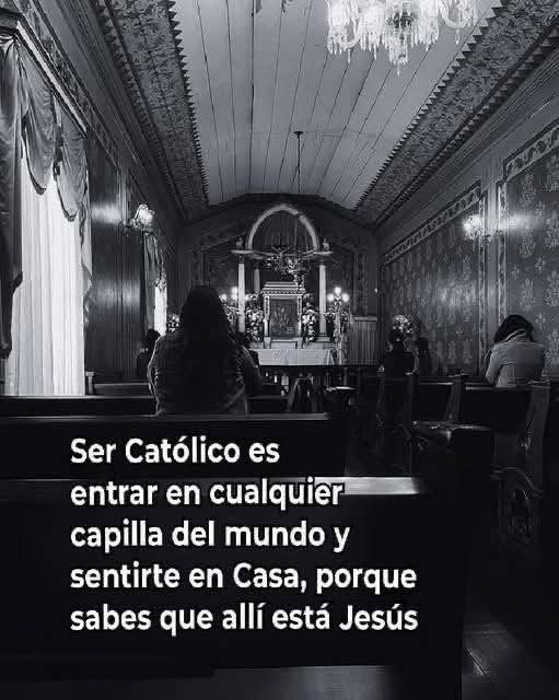 liderSanAlfonso's tweet photo. https://t.co/d9qSCBQfRj