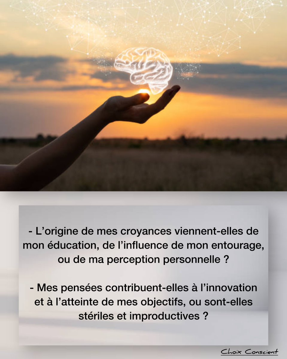 1ChoixConscient's tweet photo. Quels sujets occupent mon esprit de manière récurrente ?
#Pens��e #Croyance #Perception https://t.co/zEAZHvIgkm