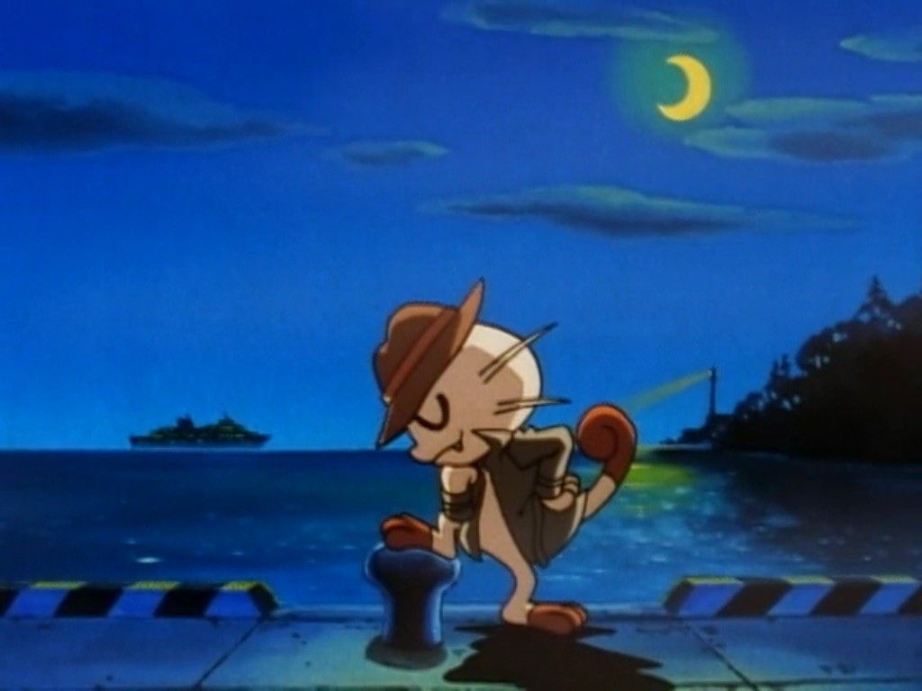 CollectorSelect's tweet photo. Mewoth 🕵️‍♂️🐱🌙 https://t.co/AxyYgUDugG