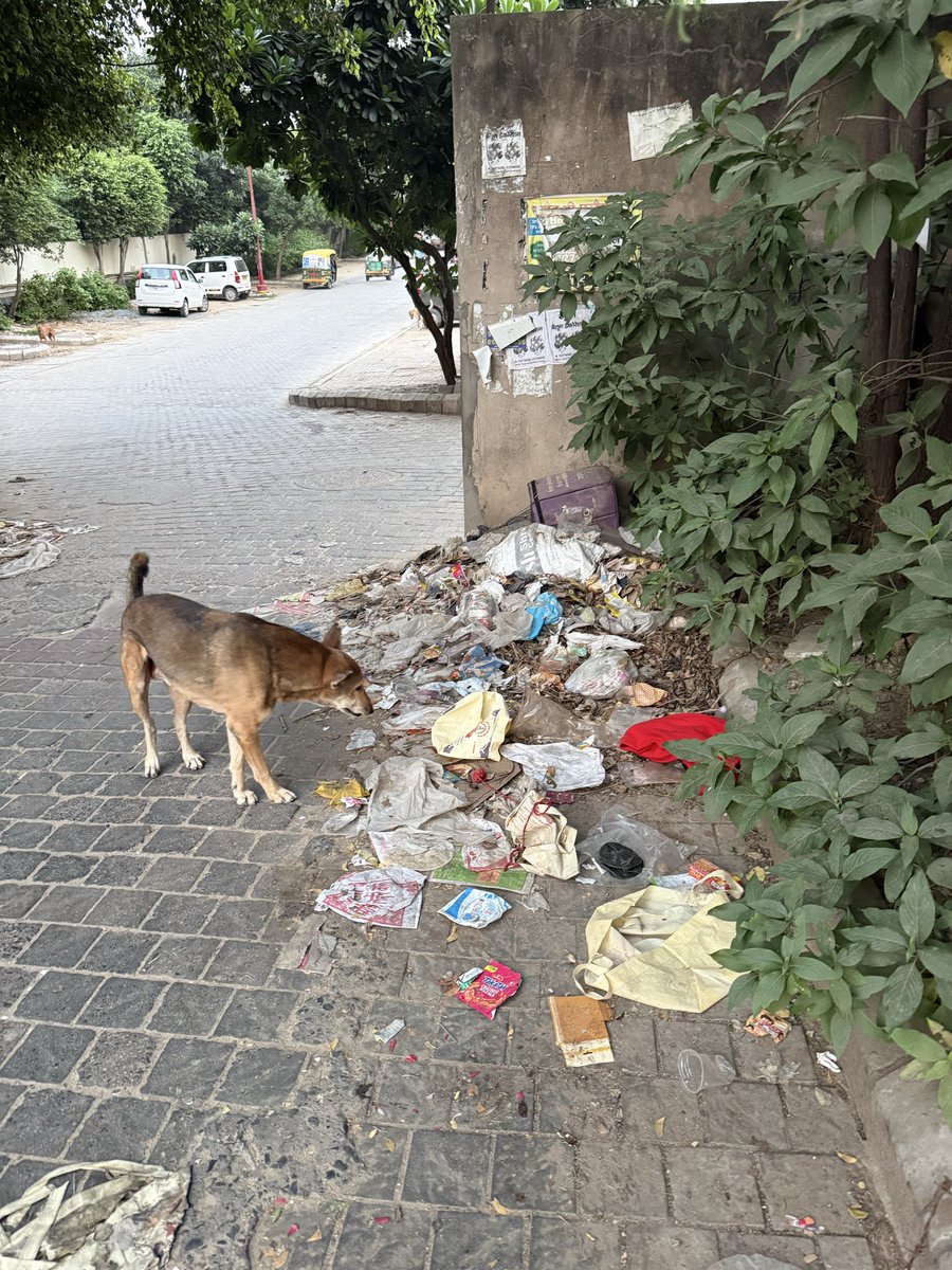 MinhasSonal's tweet photo. @MunCorpGurugram the location is the interconnect road between Tatvam Villas and Tata Primanti , this is a dumping put for all passers and village nearby https://t.co/OBwrdD5uFR