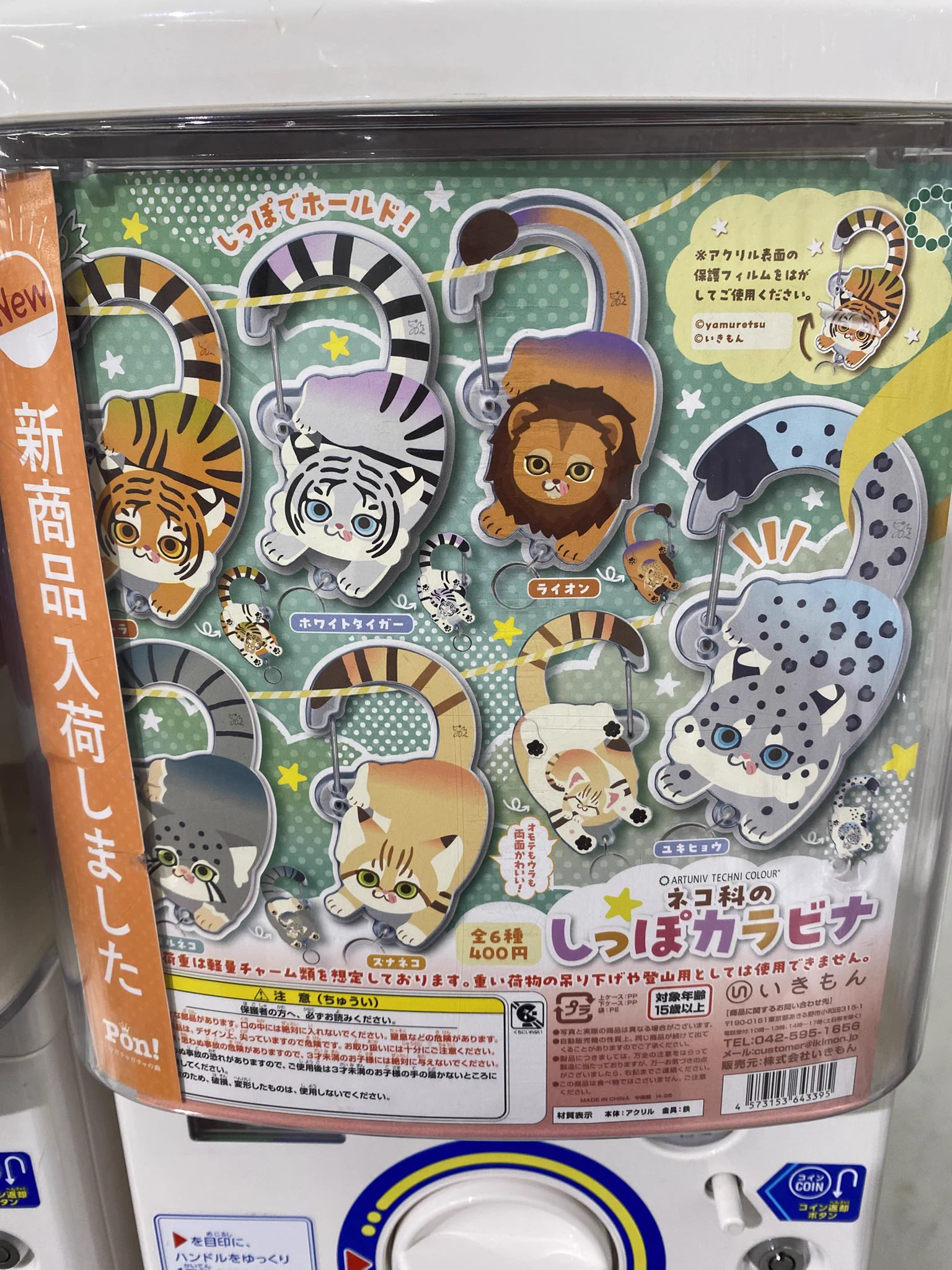 ふぇすたらんどおおとり店 on X: 