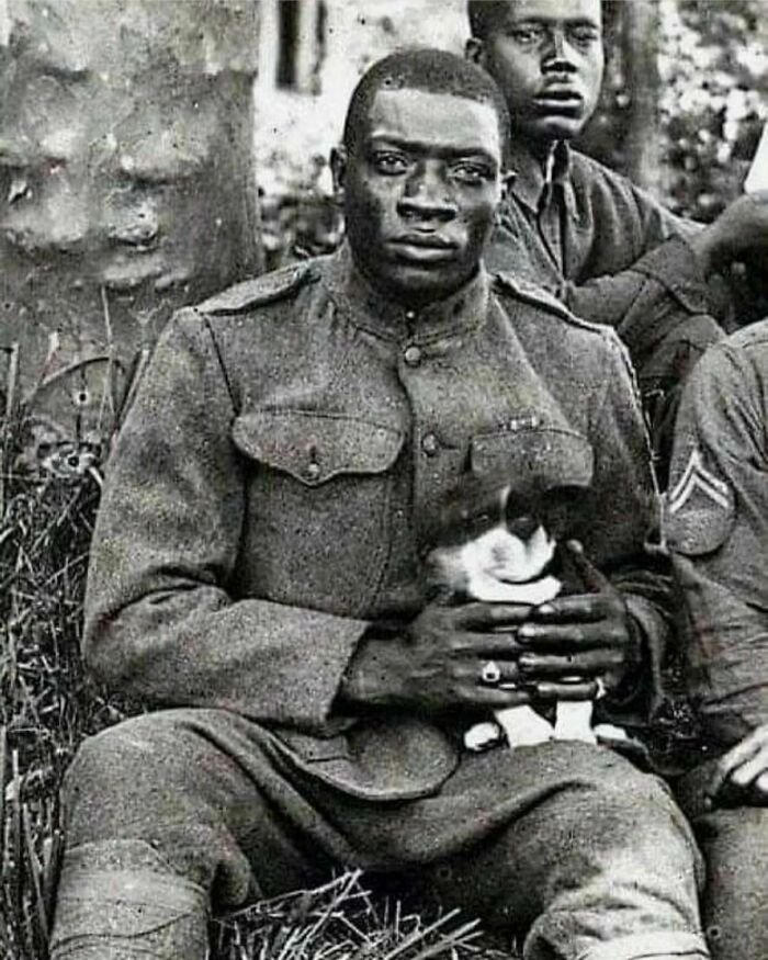 HistoryToRead tweet picture