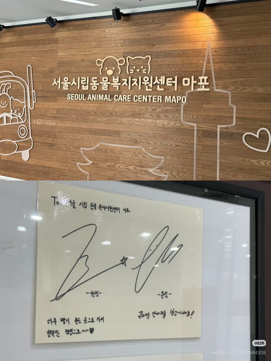 theseoknen's tweet photo. 260916 돌넨

🪨 come take a look at these cute dogs!
🎸 may they find a loving home soon and live happy doggy lives~~♥︎ https://t.co/Xm1HUifST5
