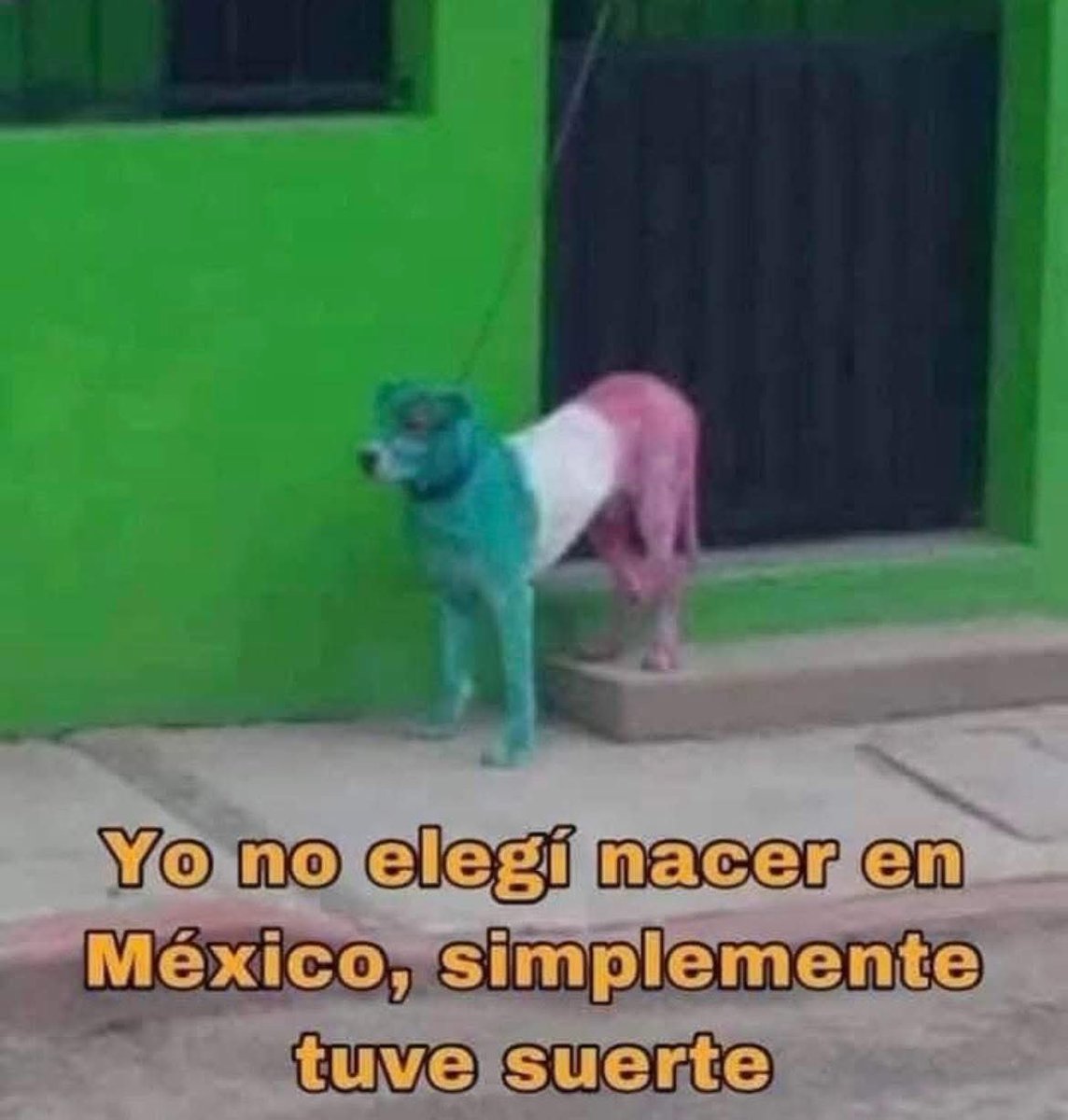 LG_Remmy's tweet photo. Viva México!!!! 🥳🎉🇲🇽 https://t.co/UxxvdGY93z