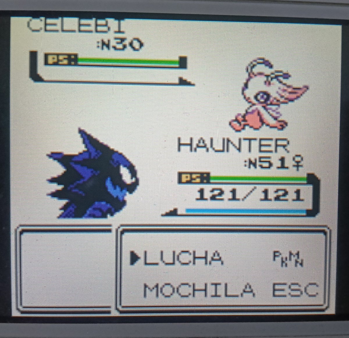 RedThg's tweet photo. Shiny Celebi!!!! ✨✨
Después de 600 SR!
La verdad no me esperaba que saliera tan rápido 😭
#ShinyPokemon https://t.co/GxngkOpbsZ