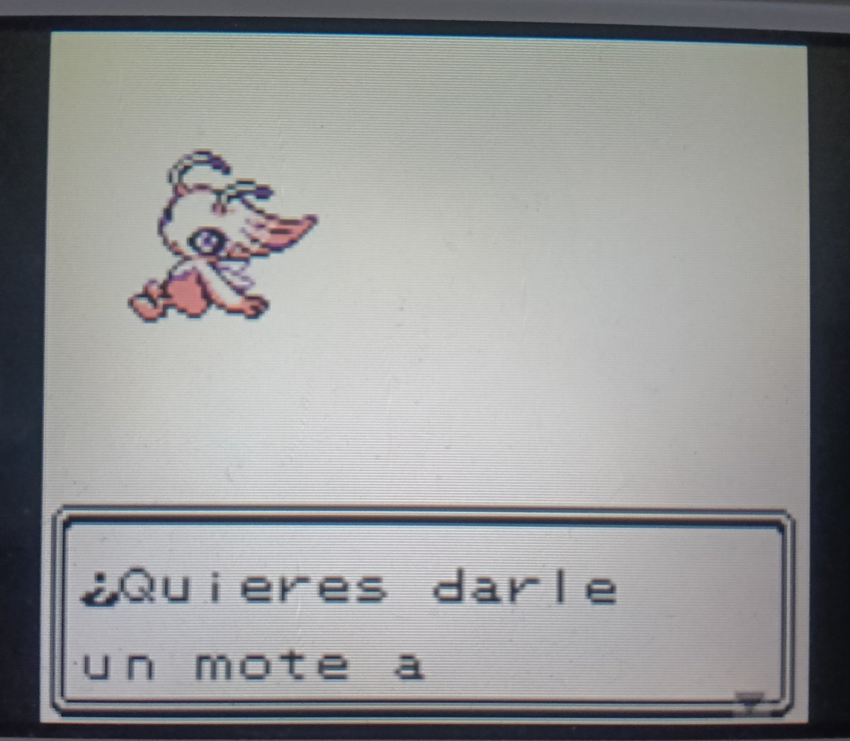 RedThg's tweet photo. Shiny Celebi!!!! ✨✨
Después de 600 SR!
La verdad no me esperaba que saliera tan rápido 😭
#ShinyPokemon https://t.co/GxngkOpbsZ