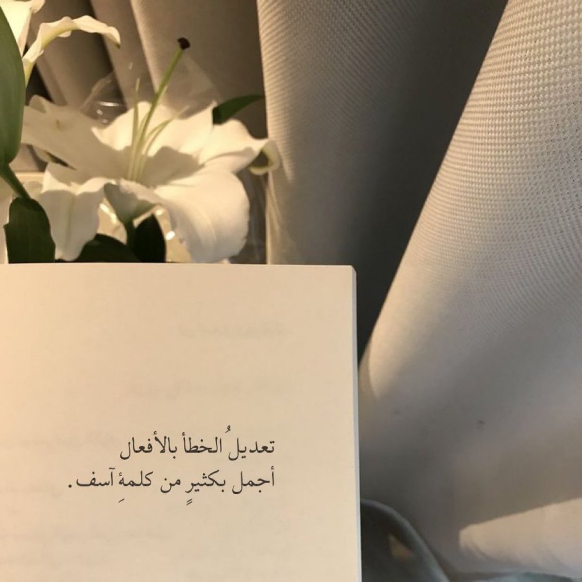 JoJo29111's tweet photo. "
تعديلُ الخطأ بالأفعال ، 
                          أجملُ بكثيرٍ من كلمةِ آسف 🕊️ ".. https://t.co/vzM1sp9MrO
