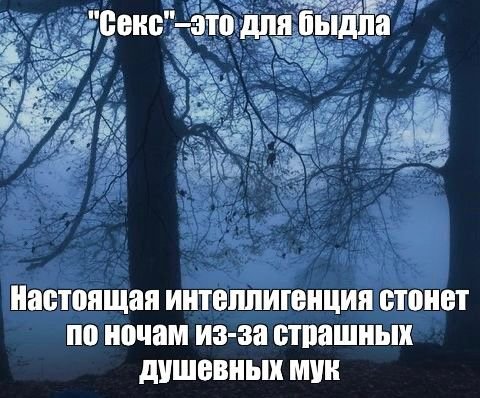 OliverWylf's tweet photo. https://t.co/GCoRaLByVO
