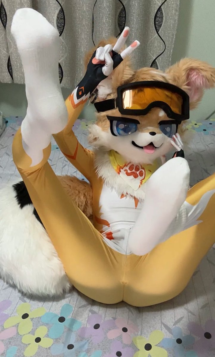 jydoggy's tweet photo. 白袜小狗狗！
#兽太 #furry #紧身衣 #白袜 #福瑞 #fursuit #正太 https://t.co/oOiOFRvrDH