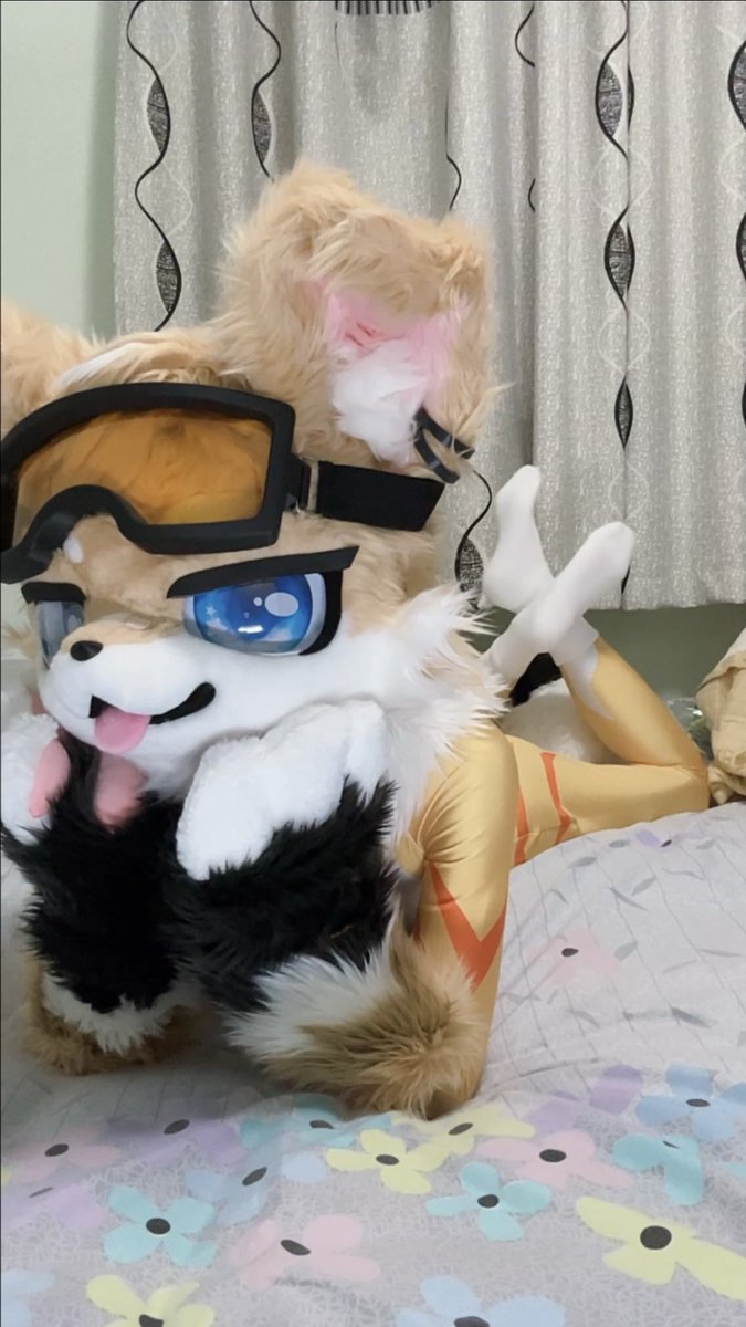 jydoggy's tweet photo. 白袜小狗狗！
#兽太 #furry #紧身衣 #白袜 #福瑞 #fursuit #正太 https://t.co/oOiOFRvrDH