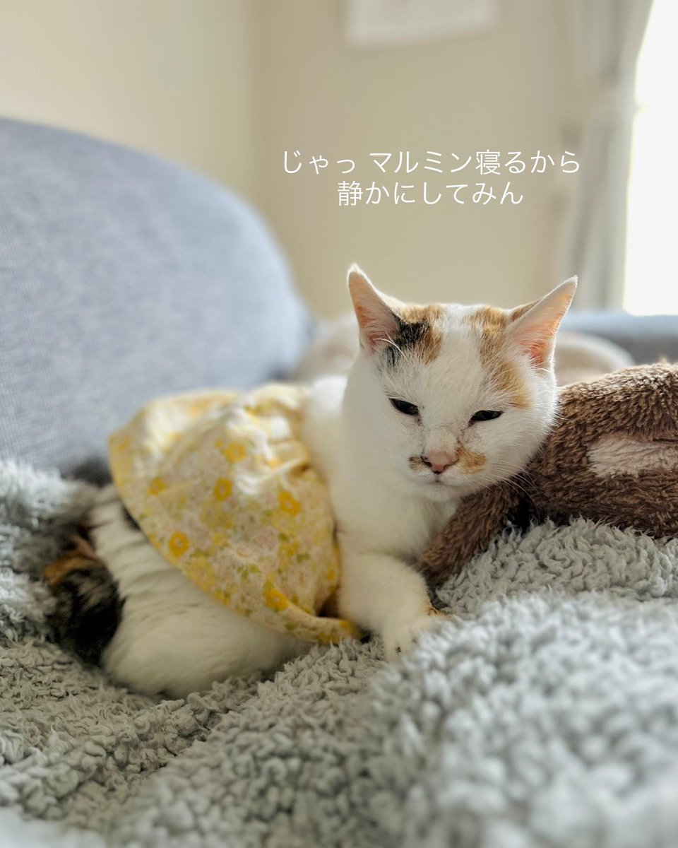 RubinGrend5pd's tweet photo. 自分の中に積��重なる言葉が、うまく消化できずに滞っている感覚がある。吐き出せば楽になるのか、あるいは余計に絡まるだけなのか。そんなことばかり考えてまた一日が終わっていく。我ながら面倒な性格だ。 https://t.co/wDbJkIrxxq