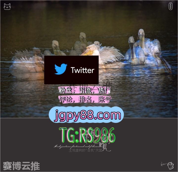 onlyxria's tweet photo. 心有憧憬未来就有无限可能和希望🔦
推特账号购买海外获客🌺互推助手🎌数字货币🍁 
推特矩阵管理、营销自动化、内容运营 上热门 永新批量发帖、多账号管理、推广营销
排名号明港 世界杯
海外获客🪐主人的任务🌱烟台 代发🧿 https://t.co/Ge0MZJF0dU
