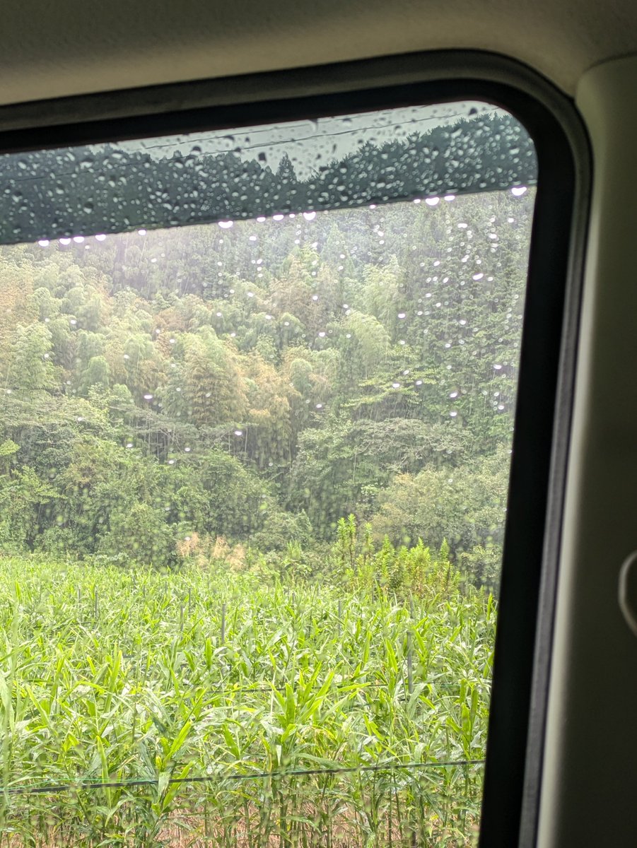 LOR_3731's tweet photo. @71Pachi おはゆ☔

畑仕事、雨が強まったので車内で雨宿り😇 https://t.co/dMdogir4Fu