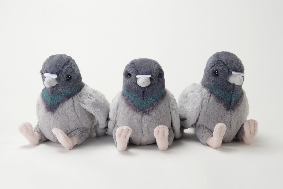 seibutuen_info's tweet photo. もふもふ！野鳥のぬいぐるみ「ハト（グレー）」＆同じく売り切れておりました「カラス」が再入荷しました！
https://t.co/5PBaC1uvSq

身近だけど中々グッズの少ない #ハト と #カラス 。
じっくりみつめると色んな魅力が見えてきます🐥
#生物園オンラインショップ #足立区生物園 https://t.co/2h7cFQL3qQ