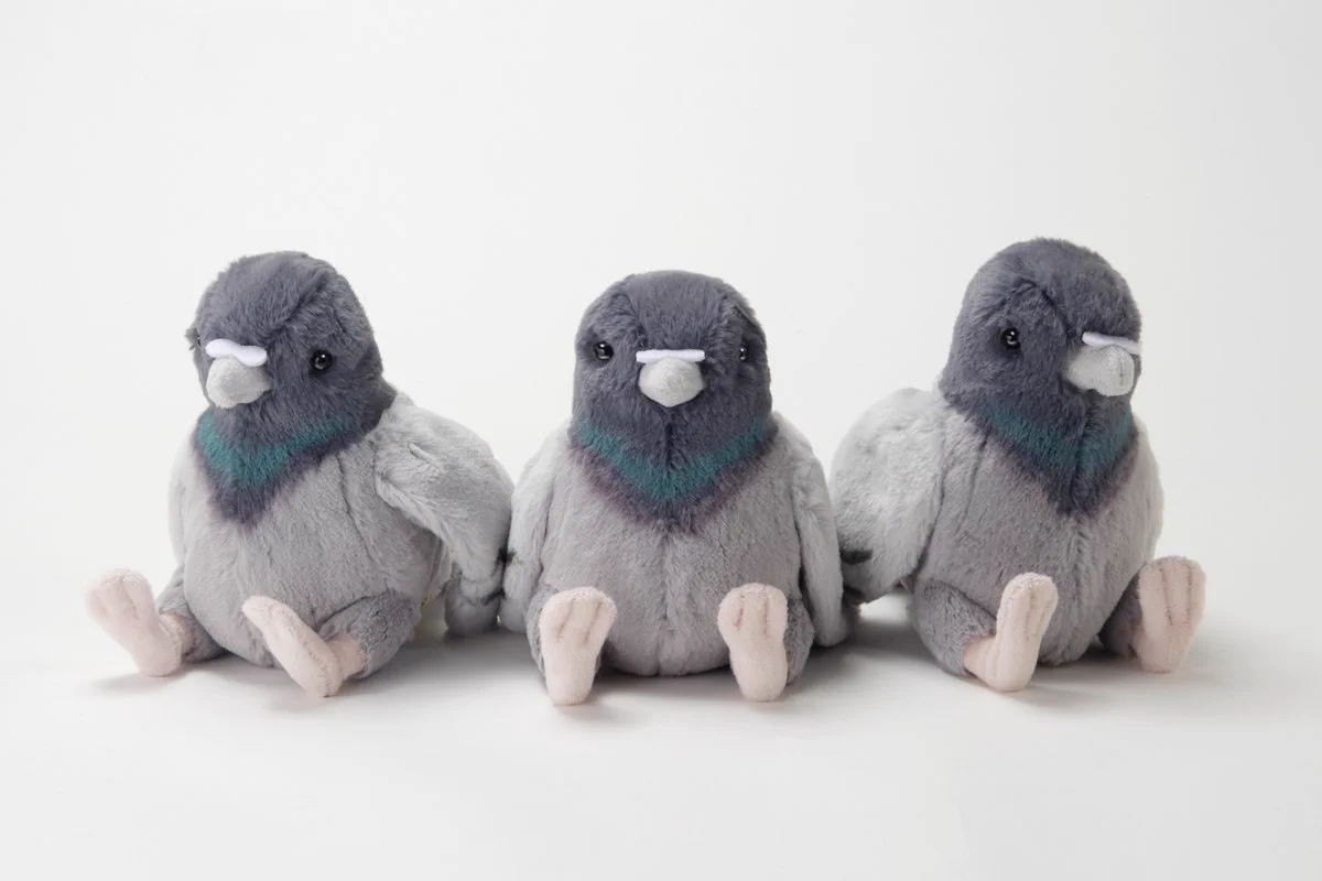 足立区生物園 on X: 