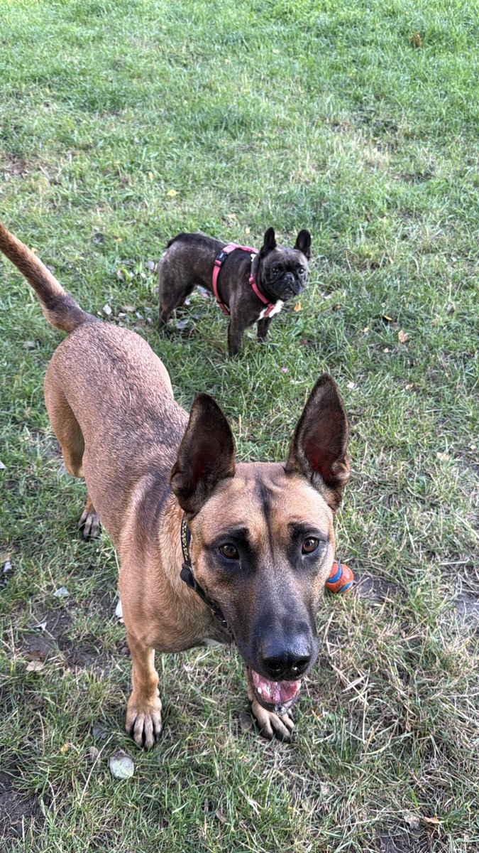 Cryptoking's tweet photo. What should we name Thor’s new girlfriend?! https://t.co/lEDBXq2LeK
