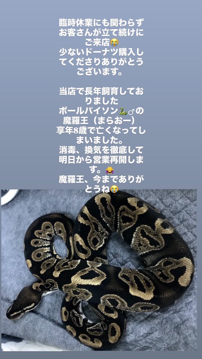 150donut's tweet photo. https://t.co/R64TXEMK3c