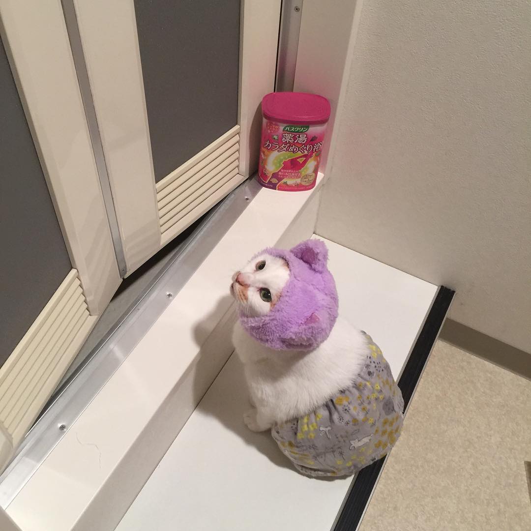 AzaleeKestov's tweet photo. 何事も完璧にこなそうとすると息が詰まる。未完成なままの隙間にこそ、意外と面白い何かが紛れ込んでくるのかもしれません。 https://t.co/lAUAqzobb4