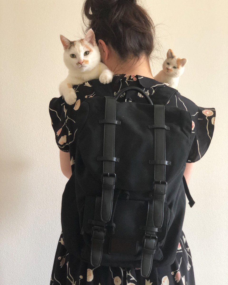HildredMacxts's tweet photo. Connection is a heavy requirement for someone who prefers isolation. 🎐 https://t.co/kmgZcJwXDf
