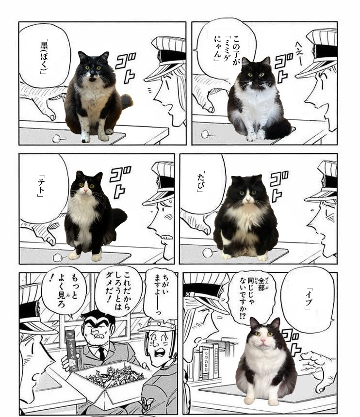 sgmssm's tweet photo. 勝手に作った物ですのでもしご不快でしたら削除致します https://t.co/XsBn5HAwZS