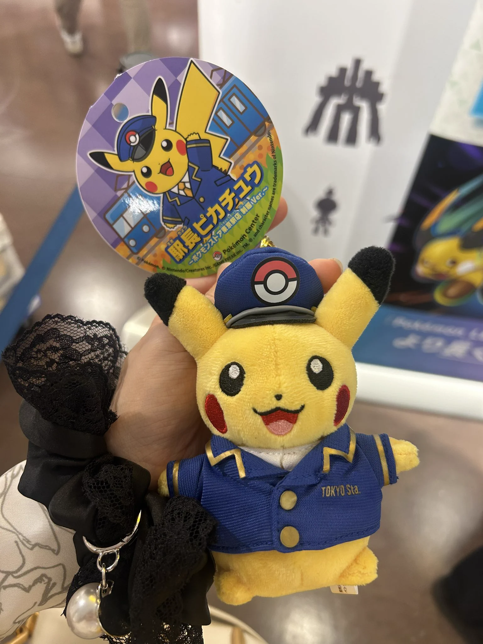 𝕃𝕌𝕂𝔸 🧢🌈✨ぬい収集癖🧸ポケモンとズートピアが生きがい on X