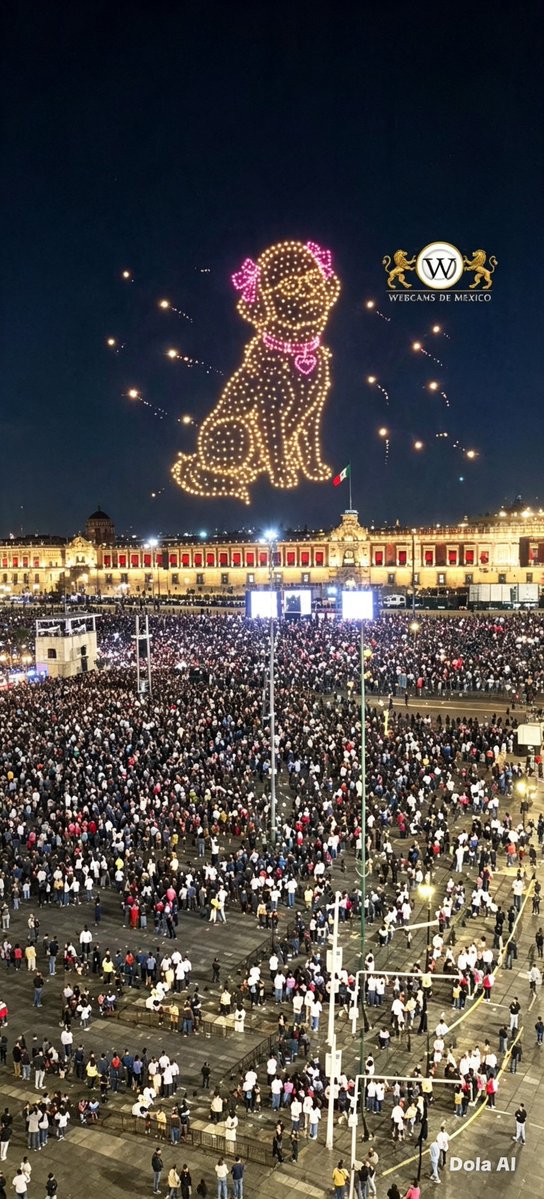 Juanmximoreyno1's tweet photo. A poco aparecio..en show de drones ,en el zócalo. 
#laperritadetrump😁 https://t.co/1UBXEcIiy2