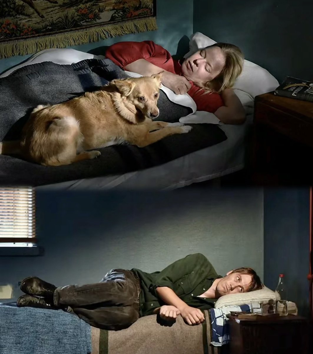 sweex620560's tweet photo. Just finished my favorite indie film on a rainy night—heart feels so warm and soft, like wrapped in a fuzzy blanket. https://t.co/HuOd28Cqro