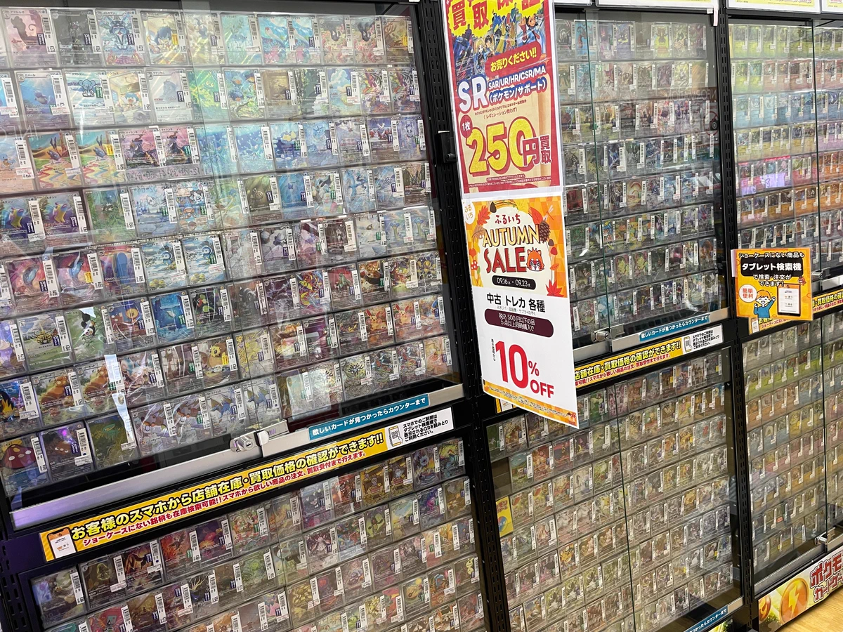 特大　オバティフォリア　オルカ　抜き苗発送　引き取り限定 HSUPCTjaAAAua0v?format=webp&
