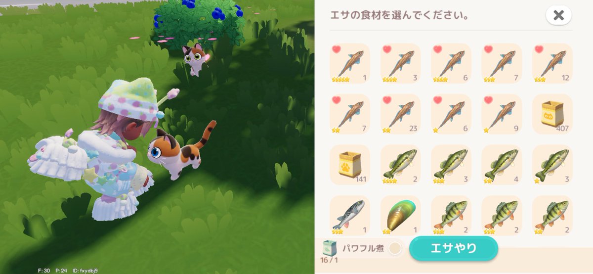 MA_FLi_uda's tweet photo. 5匹目のねこちゃん、まさかのカイブツギンザメ好き！？めちゃくちゃ楽に釣れる魚で大当たりすぎる！親孝行猫！！ https://t.co/wfIowELJZz