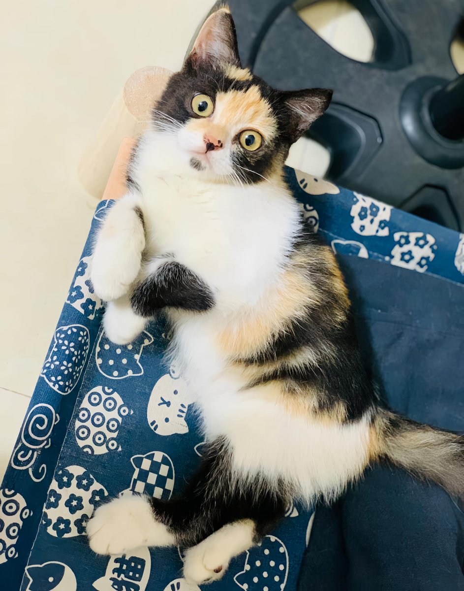 LelahLitman's tweet photo. 思考のノイズが急に止まる瞬間がある。そういう時は大抵、自分を守るための回路がオフになっていて、ただの素の自分が顔を出しているような気がするんだよね。 https://t.co/dOkbi2tliP