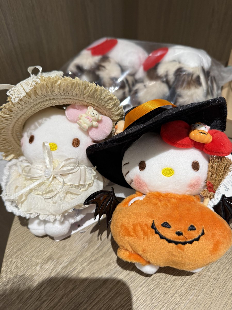 cleo_hiking's tweet photo. Nothing’s cuter than Hello Kitty, let’s collect even more together. https://t.co/zwsaOnW8kk
