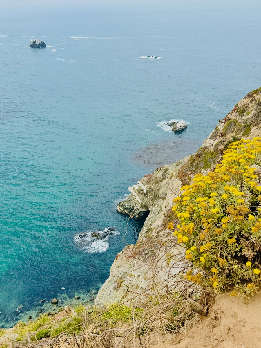 emilyrobinbts1's tweet photo. The famous bridge on California’s Pacific Coast Highway 1 is Bixby Bridge in Big Sur. https://t.co/oZhZBKxKSZ