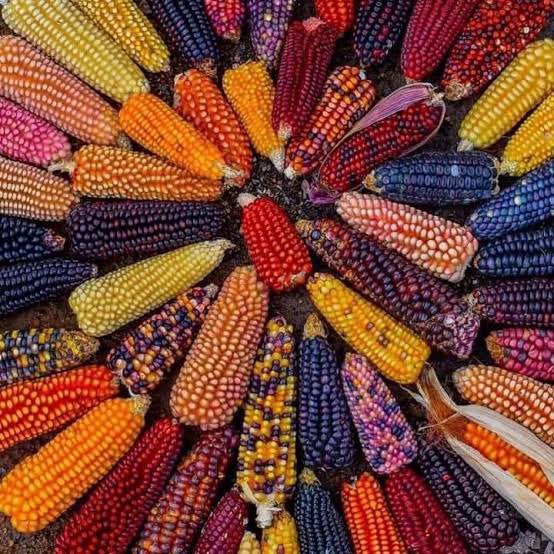 ma_fe79's tweet photo. Agradecida con el de arriba por haber nacido en tierras mexicanas.

VIVA MÉXICO!! 🇲🇽🇲🇽🇲🇽 https://t.co/9CzUC7EQkS