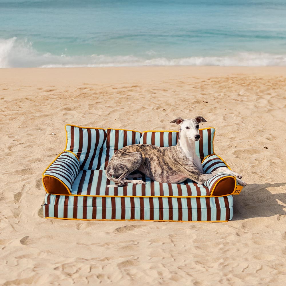 _Lexipro's tweet photo. I just received Stripe Waterproof Foldable Dog Sofa Bed - Medium from TwiSwe via Throne. Thank you! https://t.co/vahihAkUSd #Wishlist #Throne https://t.co/p9zveoTNu8