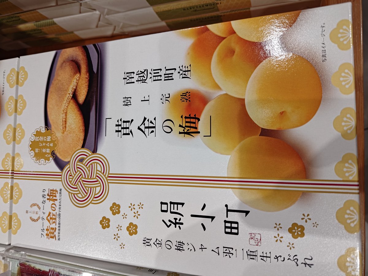MUTEX_NWS's tweet photo. 絹小町を発見 https://t.co/G1191qLlRK