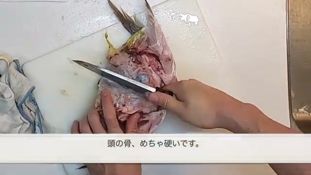 parari_man1111's tweet photo. 新鮮直送のしまあじと鯛を1匹丸ごと捌く仕込み編！プロの丁寧な下処理で下ごしらえ完了。次回の炭火焼きが楽しみです。
https://t.co/YKSalswYNB
#七輪 #炭火焼き #アウトドア料理 https://t.co/DcgmbULUVw