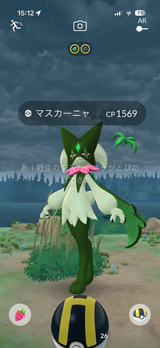 lcn9q_'s tweet photo. 写真撮ったら撮っただけでてくる https://t.co/ZDDhL2IDG2
